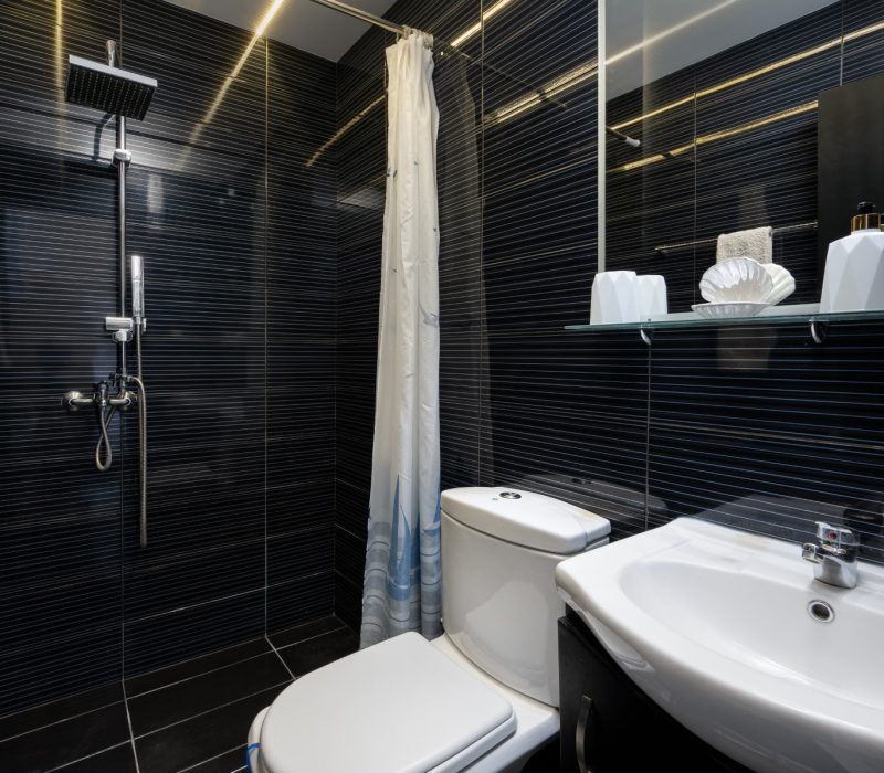 Toilet with shower